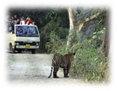 Golden Triangle with Wild Life Tour