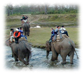 Royal Chitwan National Park