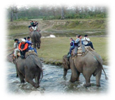 Royal Chitwan Park